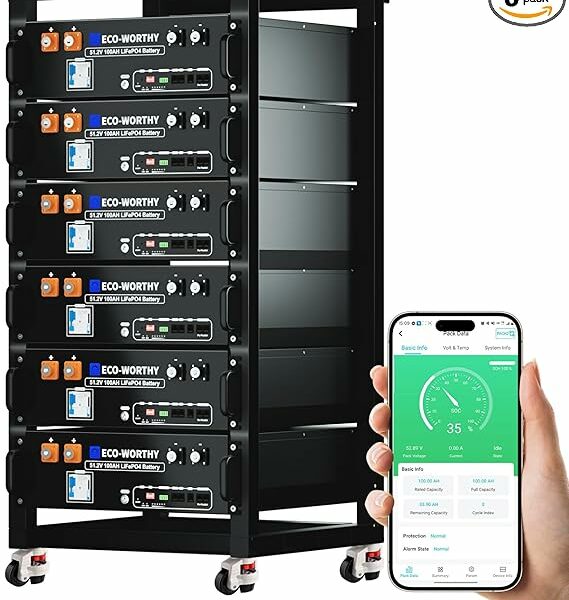 ECO-WORTHY 48V 600Ah Server Rack Lithium Battery (6 Pack 48V 100AH)